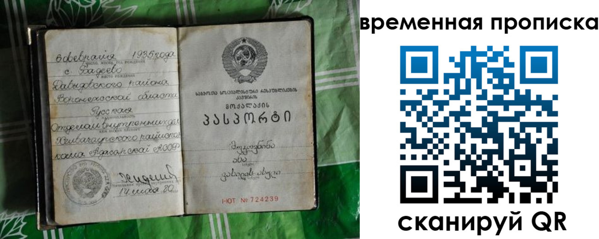 прописка в Бавлах